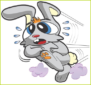 Bunny-copy.jpg